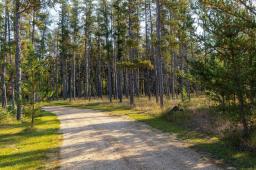 Primary Bedroom - 46087 Pr 210 Highway, Marchand, MB R0A0Z0 Photo 5