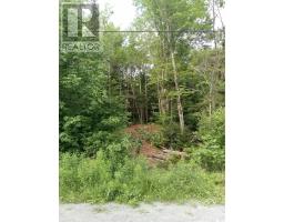 Mcmullin Road, Antrim, NS B0N1Y0 Photo 4