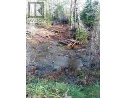 Mcmullin Road, Antrim, NS B0N1Y0 Photo 5