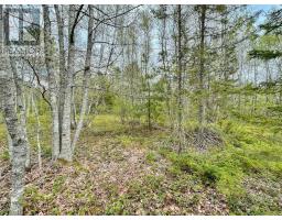 Lot Highway 201, South Farmington, NS B0P1W0 Photo 5