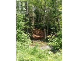 Mcmullin Road, Antrim, NS B0N1Y0 Photo 2