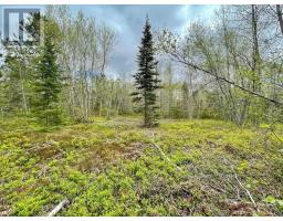 Lot Highway 201, South Farmington, NS B0P1W0 Photo 4