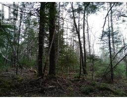 Mcmullin Road, Antrim, NS B0N1Y0 Photo 3