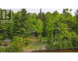Bathroom - Lot 6 Burnt Island Island, Madawaska Valley, ON K0J1B0 Photo 4