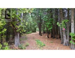 44 Stokes Bay Road, Northern Bruce Peninsula, ON N0H1W0 Photo 2