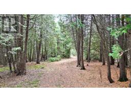 44 Stokes Bay Road, Northern Bruce Peninsula, ON N0H1W0 Photo 3