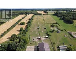 Living room - 5653 7th Line, New Tecumseth, ON L0G1A0 Photo 3