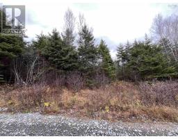 Lot 2 B Dandylion Lane, Elmsvale, NS B0N1X0 Photo 3