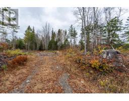 Lot 10 Perfect Road, Bangor, NS B0W2L0 Photo 3