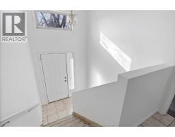 Kitchen - 1478 Westcott Road, Windsor, ON N8Y4C4 Photo 3