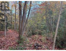 28 George Street, Bluewater, ON N0M1G0 Photo 3