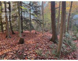 28 George Street, Bluewater, ON N0M1G0 Photo 4