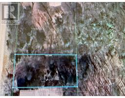 28 George Street, Bluewater, ON N0M1G0 Photo 5