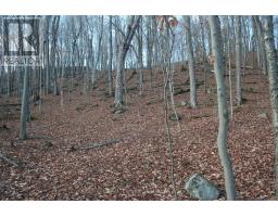 200 Mica Mine Road, Huntsville, ON P1H1R3 Photo 2