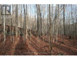 200 Mica Mine Road, Huntsville, ON P1H1R3 Photo 4