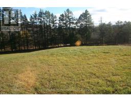 200 Mica Mine Road, Huntsville, ON P1H1R3 Photo 5