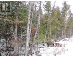 Ptlt 20 Southgate 57 Side Road, Southgate, ON N0G2A0 Photo 3