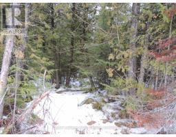 Ptlt 20 Southgate 57 Side Road, Southgate, ON N0G2A0 Photo 4