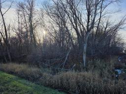 61020 33 Road W, Portage La Prairie Rm, MB R1N1A1 Photo 4