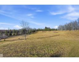 Primary Bedroom - 370 50247 Rge Rd 232, Rural Leduc County, AB T4X0K9 Photo 5