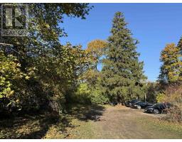 6387 Kingston Road, Toronto, ON M1C1L2 Photo 5