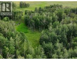 Nw 19 48 2 W 5, Warburg, AB T0C2T0 Photo 4