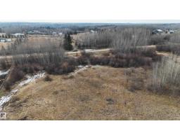 14 2011 Twp Rd 510, Rural Parkland County, AB T7Y1X5 Photo 3