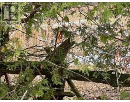 Lot 1 000 Armstrong Road, Drummond North Elmsley, ON K7A4S4 Photo 5