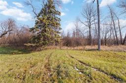 368 Old Bridge Road, Portage La Prairie, MB R1N3X4 Photo 4