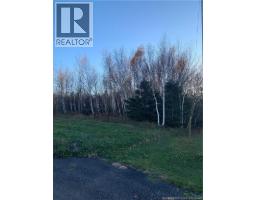 Terrain 0 28 Acres Route 135, Duguayville, NB E8M1K2 Photo 3