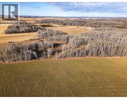 481077 Rge Road 281, Rural Wetaskiwin No 10 County Of, AB T0C2P0 Photo 5