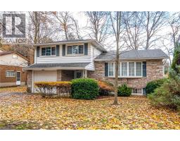 Living room - 155 Shuh Avenue, Kitchener, ON N2A1H4 Photo 4