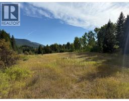Clark Creek Road Lot 17, Carmi, BC V0H0A4 Photo 5