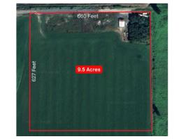 41320 Nicomen Island Trunk Road, Mission, BC V0M1G0 Photo 2