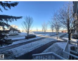 Primary Bedroom - 201 164 Bridgeport Bv, Leduc, AB T9E8B2 Photo 4