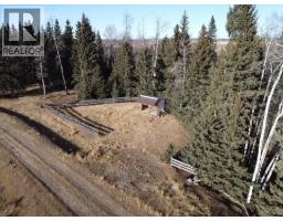 39 3 Township Road, Rural Clearwater County, AB T0M0C0 Photo 4