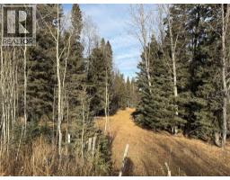 39 3 Township Road, Rural Clearwater County, AB T0M0C0 Photo 5