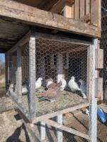 0 Highway 15 Rd 60 N Highway, Vivian, MB R0E0A0 Photo 5