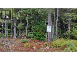 Lot 10 Tranquil Shore Rd, Marshes, NS B0E1V0 Photo 2