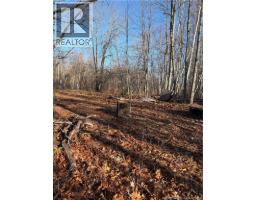 670 Back Road, Scotchtown, NB E4B1Y3 Photo 3