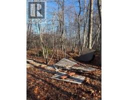 670 Back Road, Scotchtown, NB E4B1Y3 Photo 4