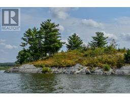 Sabaskong Bay Island G 2217, Morson, ON P0W1J0 Photo 5