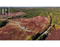 Bengal Oceanview Road, Albert Bridge, NS B1K2J5 Photo 3