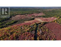 Bengal Oceanview Road, Albert Bridge, NS B1K2J5 Photo 4