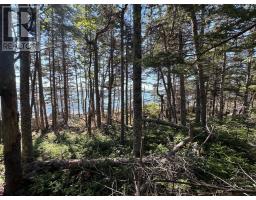 Lot 3 Stewarts Point Road, East Port L Apos Hebert, NS B0T1S0 Photo 4
