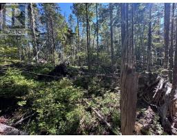 Lot 3 Stewarts Point Road, East Port L Apos Hebert, NS B0T1S0 Photo 5