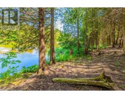 Living room - 8218 Wellington Rd 18, Centre Wellington, ON N1M2W5 Photo 3