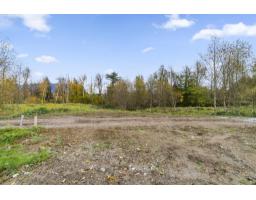 8718 Hitch Terrace, Mission, BC V2V6V4 Photo 4