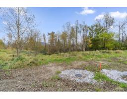 8718 Hitch Terrace, Mission, BC V2V6V4 Photo 3