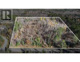 Part 2 Plan 46 R 8228 Boundary Rd Road, Alfred And Plantagenet, ON K0B1L0 Photo 3